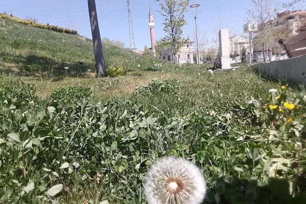 Muammer Aksoy Parkı - Resim 16