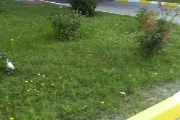TitizGrup - çerkezköy bina site yönetimi &amp; temizlik Hizmetleri Sanayi ve Ticaret LTD.ŞTİ - Resim 9