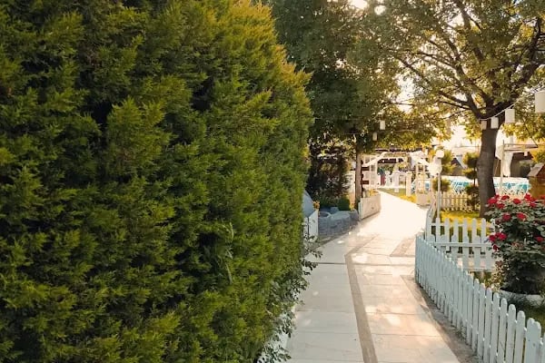 Eren Kır Bahçesi(Rose Garden Park) - Resim 9
