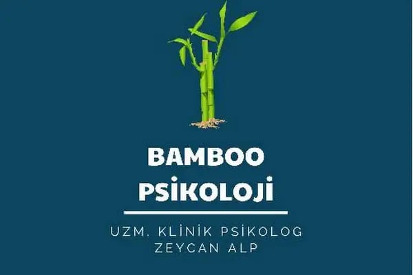 Bamboo Psikoloji Danışmanlık Merkezi - Resim 9