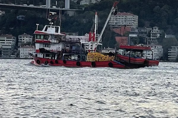 Kanlıca - Resim 17