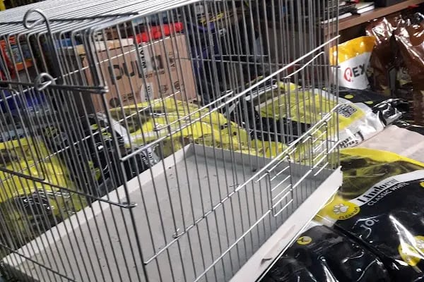 Adana Konuşan Petshop - Resim 6