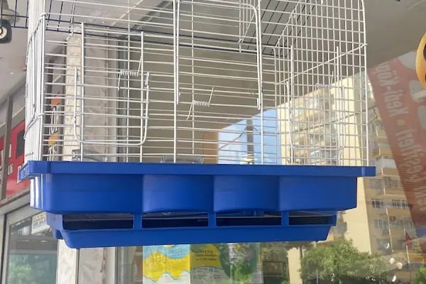 Adana Konuşan Petshop - Resim 7