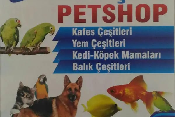 Adana Konuşan Petshop - Resim 16