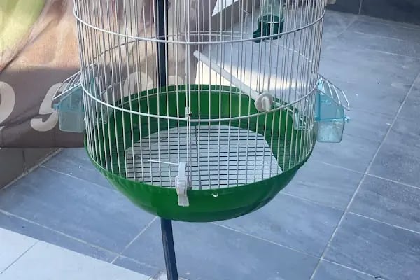 Adana Konuşan Petshop - Resim 4
