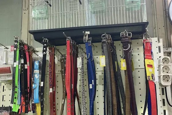 Adana Konuşan Petshop - Resim 11