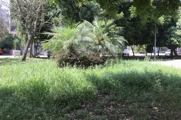 Altın Koza Parkı - Resim 10