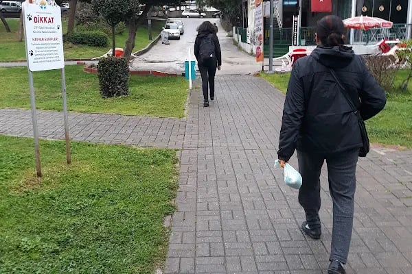 Altın Koza Parkı - Resim 20