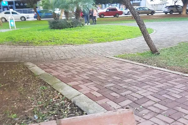 Altın Koza Parkı - Resim 19