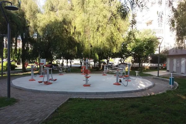 Altın Koza Parkı - Resim 4