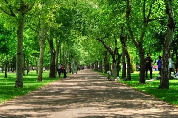 Kozağaç Parkı - Resim 4