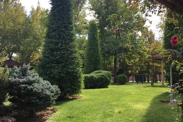 Kozağaç Parkı - Resim 16