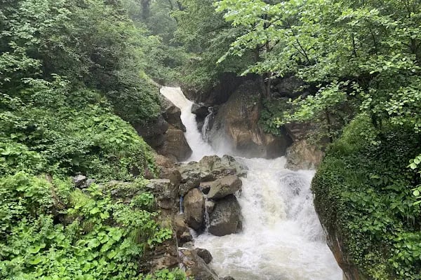 Altındere Vadisi Milli Parkı - Resim 7