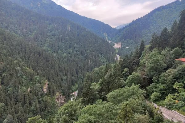 Altındere Vadisi Milli Parkı - Resim 6