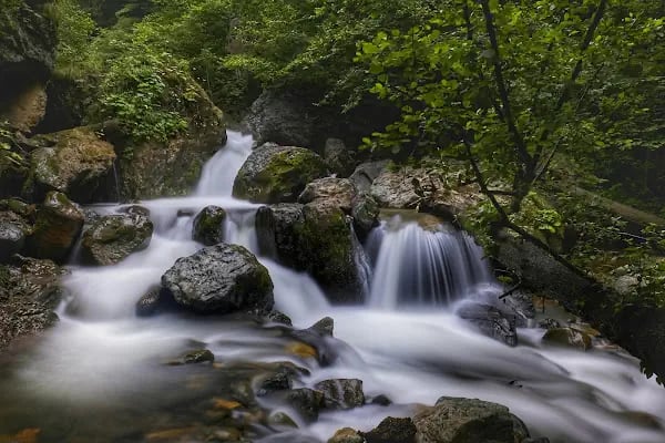 Altındere Vadisi Milli Parkı - Resim 10