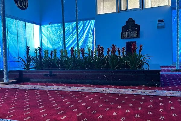 Prof.Dr.Haydar Baş turbesi - Resim 2