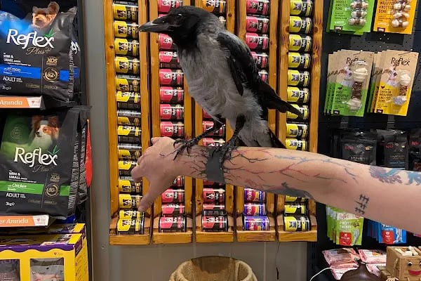 Petibör Pet Shop ve Kafe - Resim 12