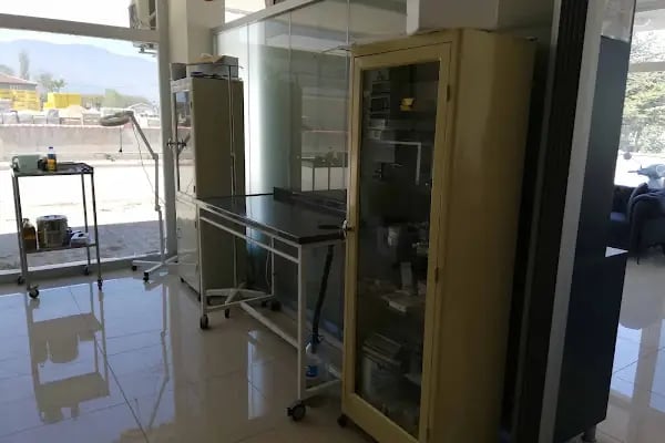 Veteriner Klinik ÇEÇEN - Resim 4