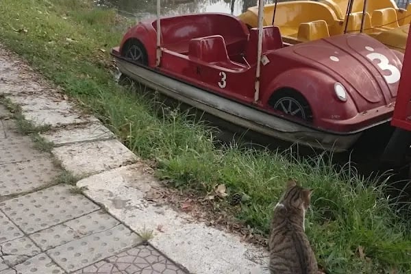 İzmit Fuar Göl Kıyısı - Resim 17