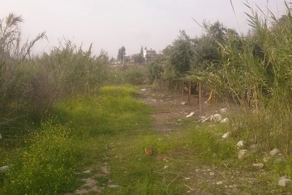 Karaisalı (Üseli Köyü) Mahallesi Muhtarlığı - Resim 8