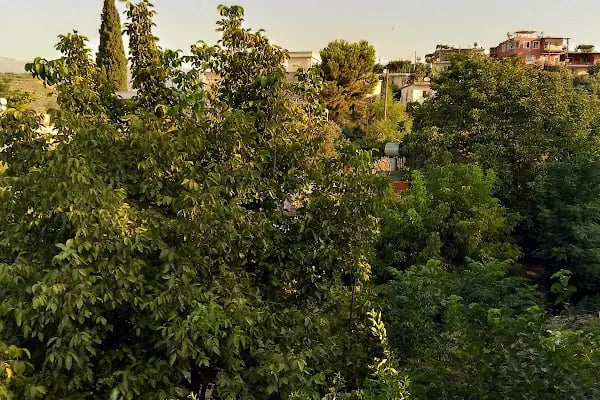 Karaisalı (Üseli Köyü) Mahallesi Muhtarlığı - Resim 6