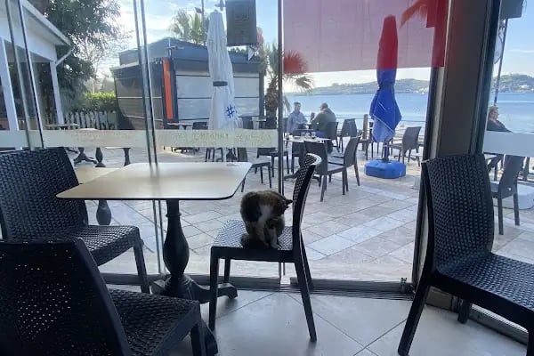 Kumbahçe Cafe - Bodrum Belediye A.Ş. - Resim 12