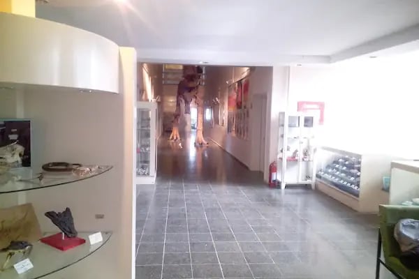 Ege Üniversitesi Tabiat Tarihi Müzesi - Resim 15