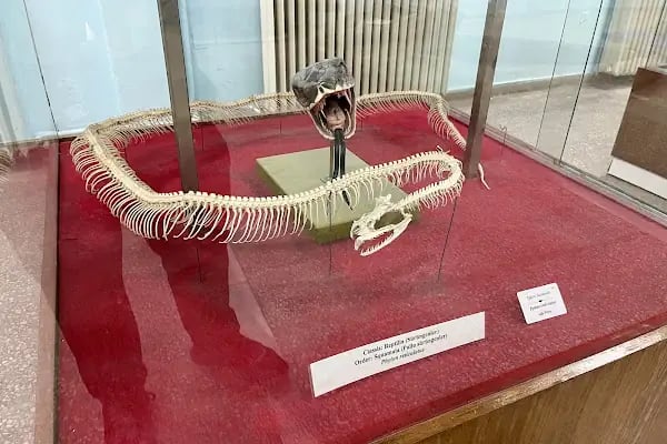 Ege Üniversitesi Tabiat Tarihi Müzesi - Resim 11