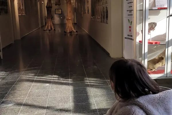 Ege Üniversitesi Tabiat Tarihi Müzesi - Resim 20
