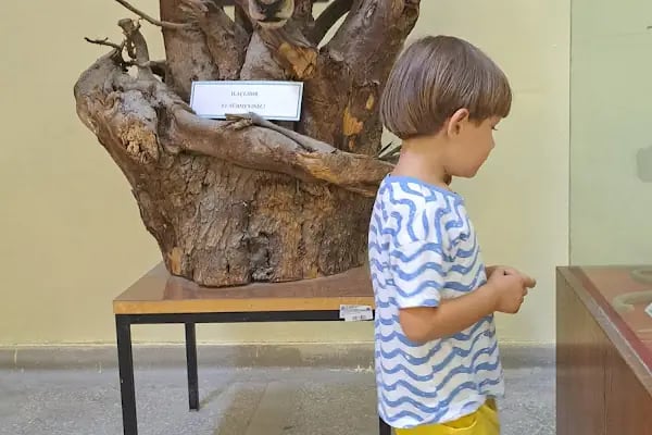 Ege Üniversitesi Tabiat Tarihi Müzesi - Resim 8