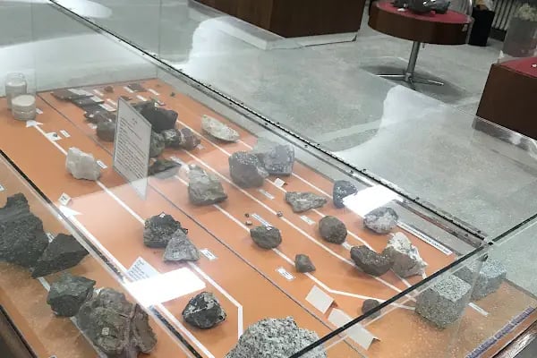 Ege Üniversitesi Tabiat Tarihi Müzesi - Resim 10
