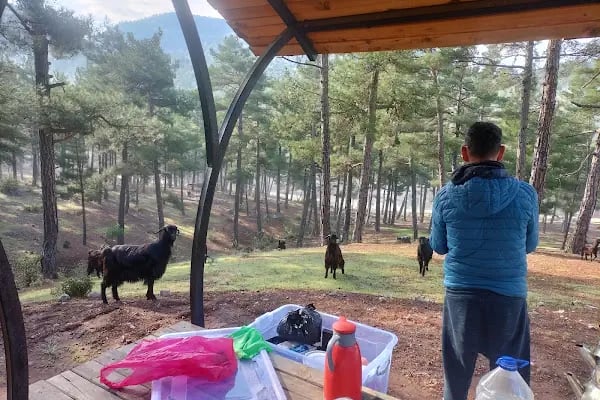 Aladağ millet bahçesi - Resim 5