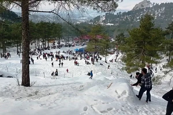 Aladağ millet bahçesi - Resim 3