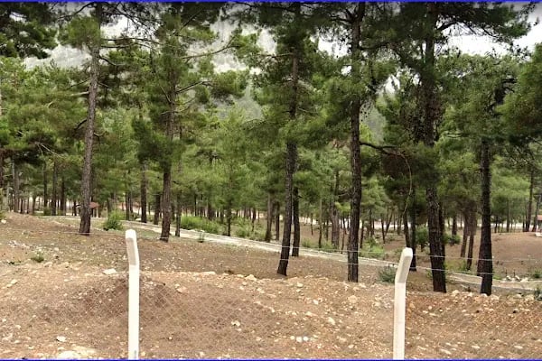 Aladağ millet bahçesi - Resim 12