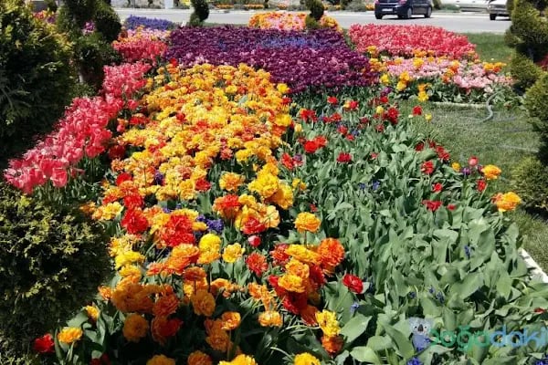Akyokuş Tabiat Parkı - Resim 15