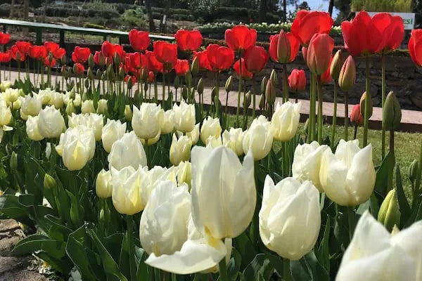 Nezahat Gökyiğit Botanik Bahçesi, Ertuğrul Adası - Resim 7