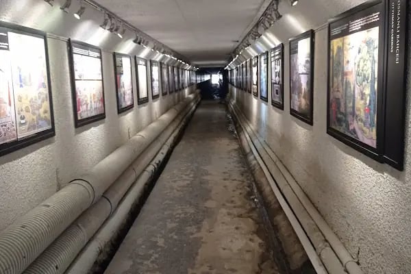 Nezahat Gökyiğit Botanik Bahçesi, Ertuğrul Adası - Resim 13
