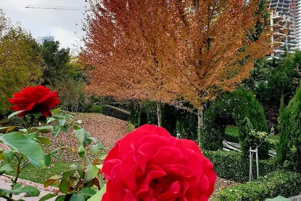 Nezahat Gökyiğit Botanik Bahçesi, Ertuğrul Adası - Resim 12