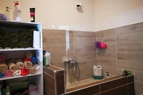 Viskypet Petshop - Resim 2