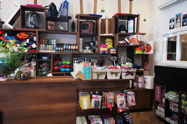Viskypet Petshop - Resim 9