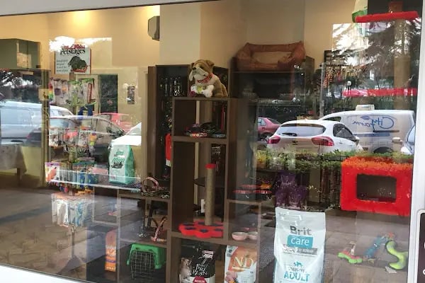 Viskypet Petshop - Resim 1