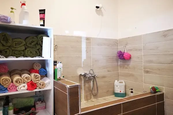 Viskypet Petshop - Resim 5