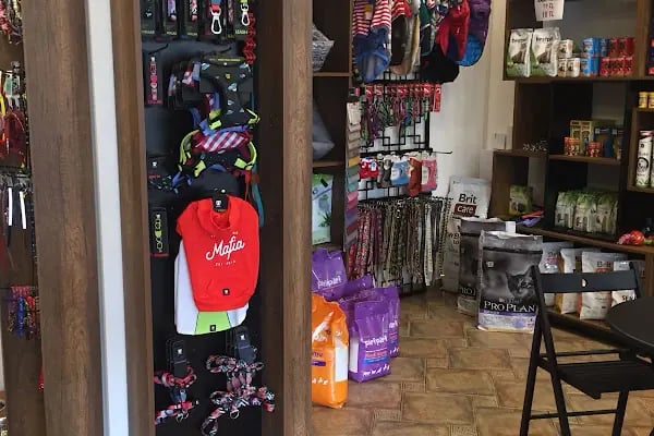 Viskypet Petshop - Resim 16