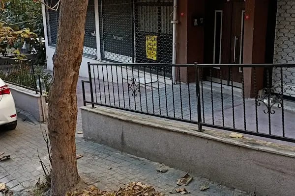 Petvilla Akvaryum - Resim 19