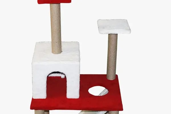Petvilla Akvaryum - Resim 5