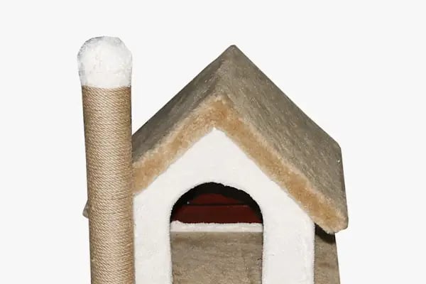 Petvilla Akvaryum - Resim 15