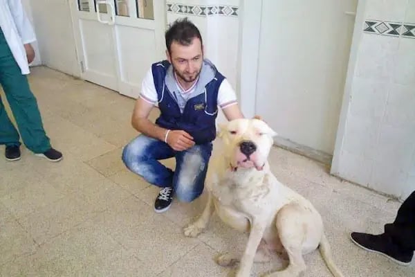 Ataşehir Veteriner Kliniği - Ataşehir 7/24 Veteriner - Acil Veteriner - Resim 18