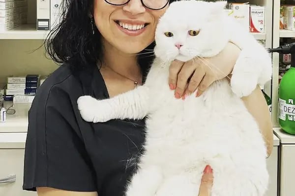 Ataşehir Veteriner Kliniği - Ataşehir 7/24 Veteriner - Acil Veteriner - Resim 8