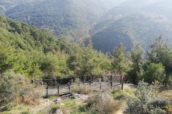 Atatürk Kent Ormanı - Resim 9