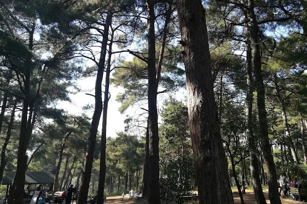 Atatürk Kent Ormanı - Resim 3